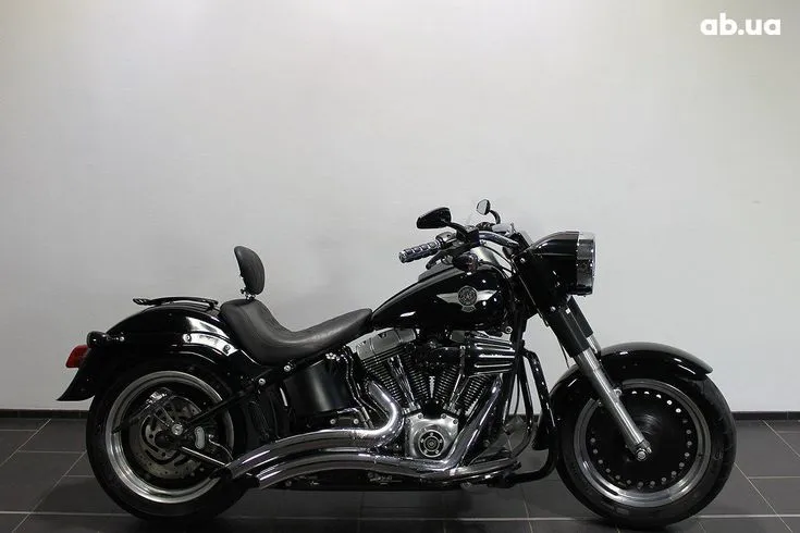 Harley-Davidson FLSTF Image 1